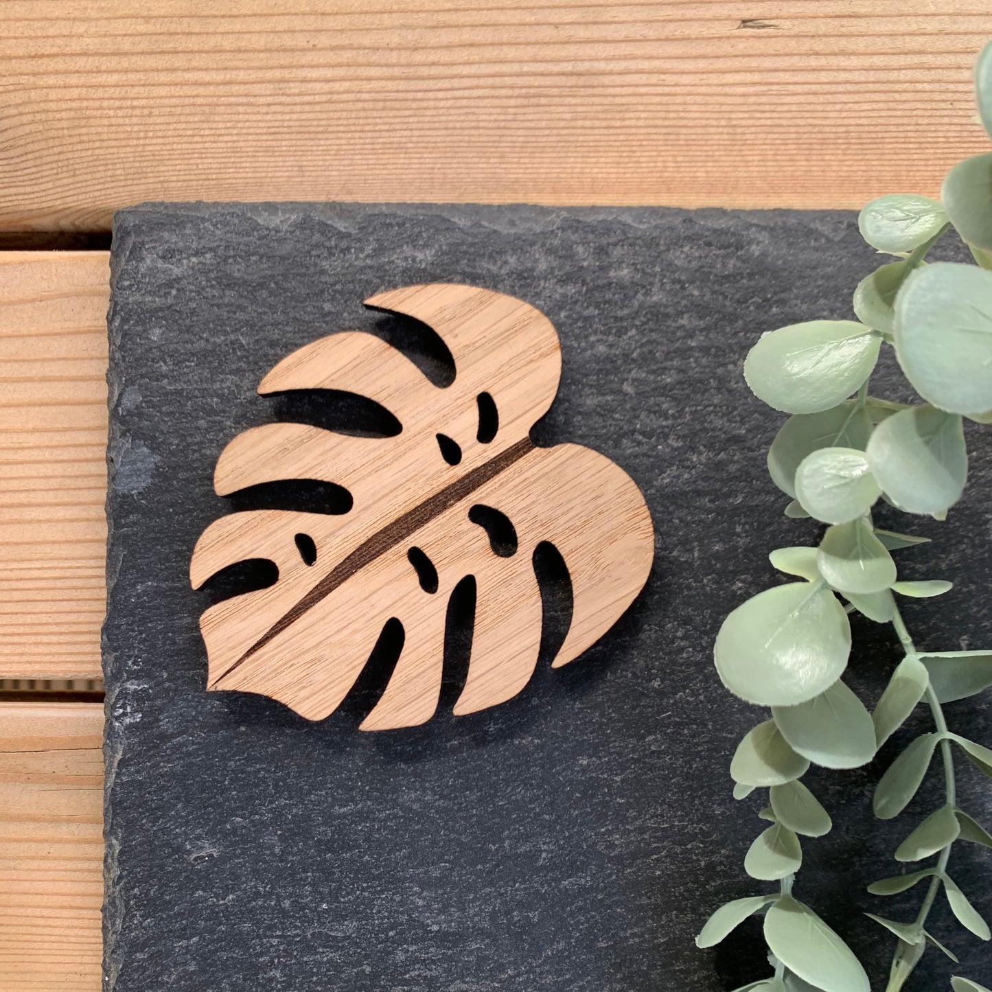 Coasters - Monstera Leaf