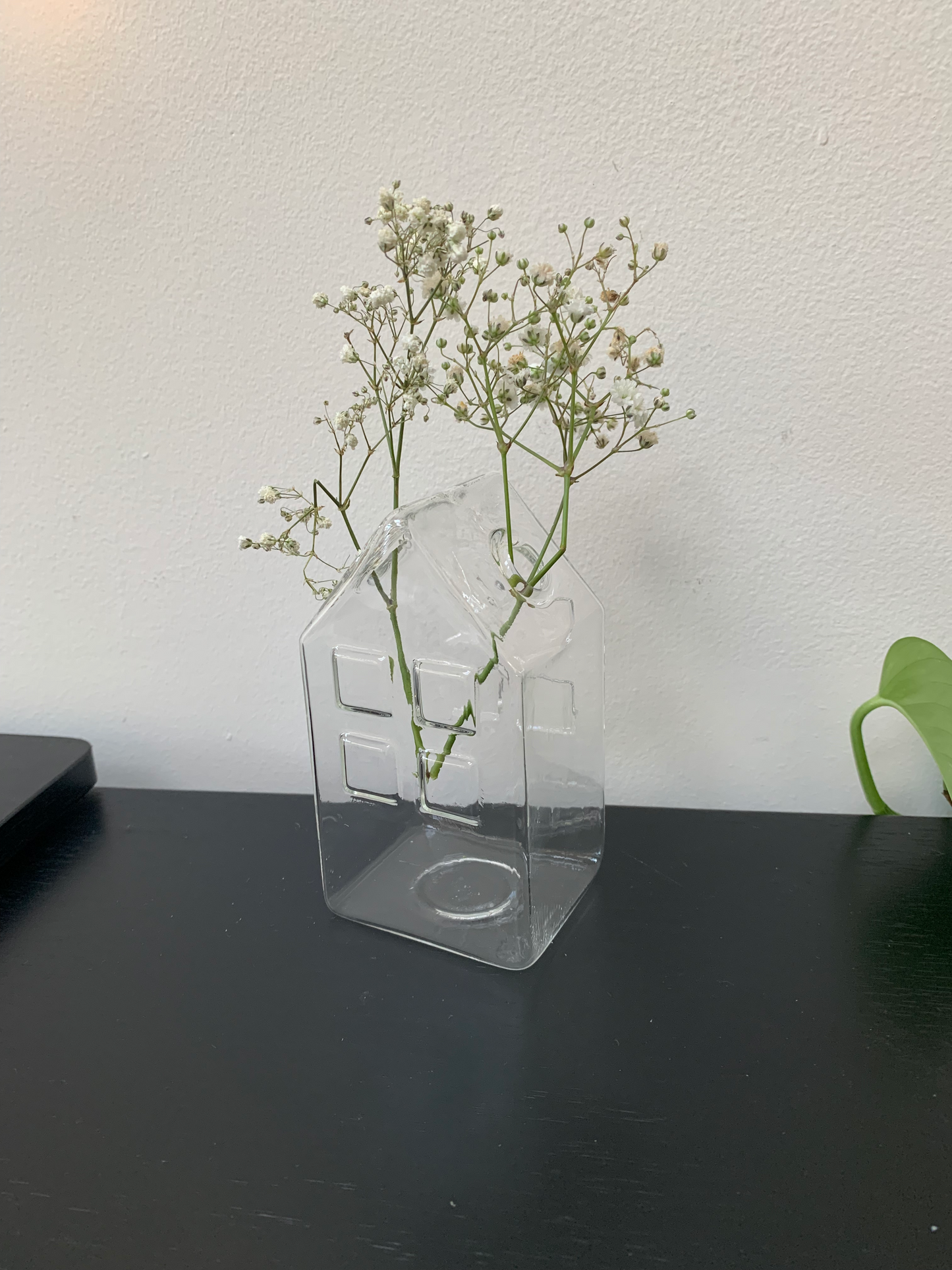 House Vase