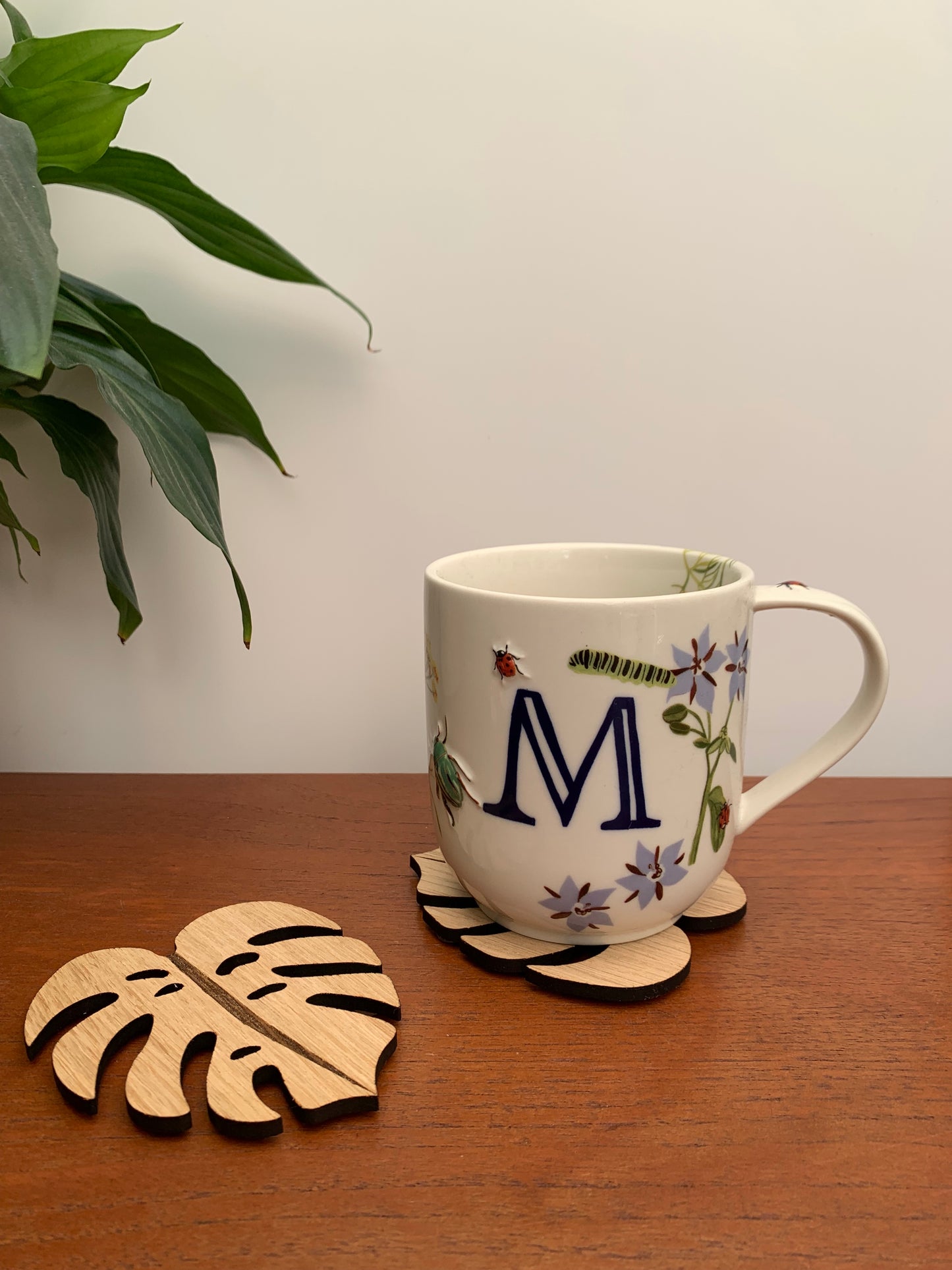 Coasters - Monstera Leaf