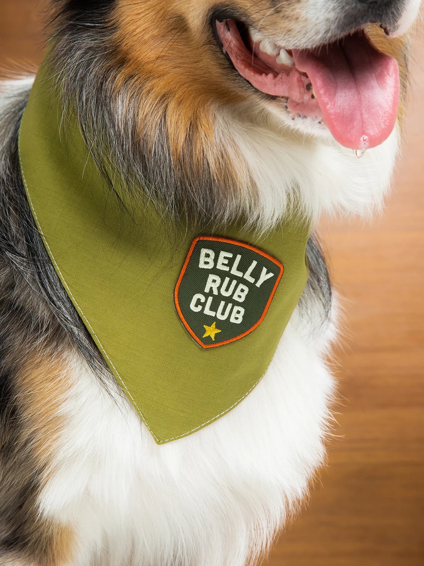 Iron-On Patch - Belly Rub Club